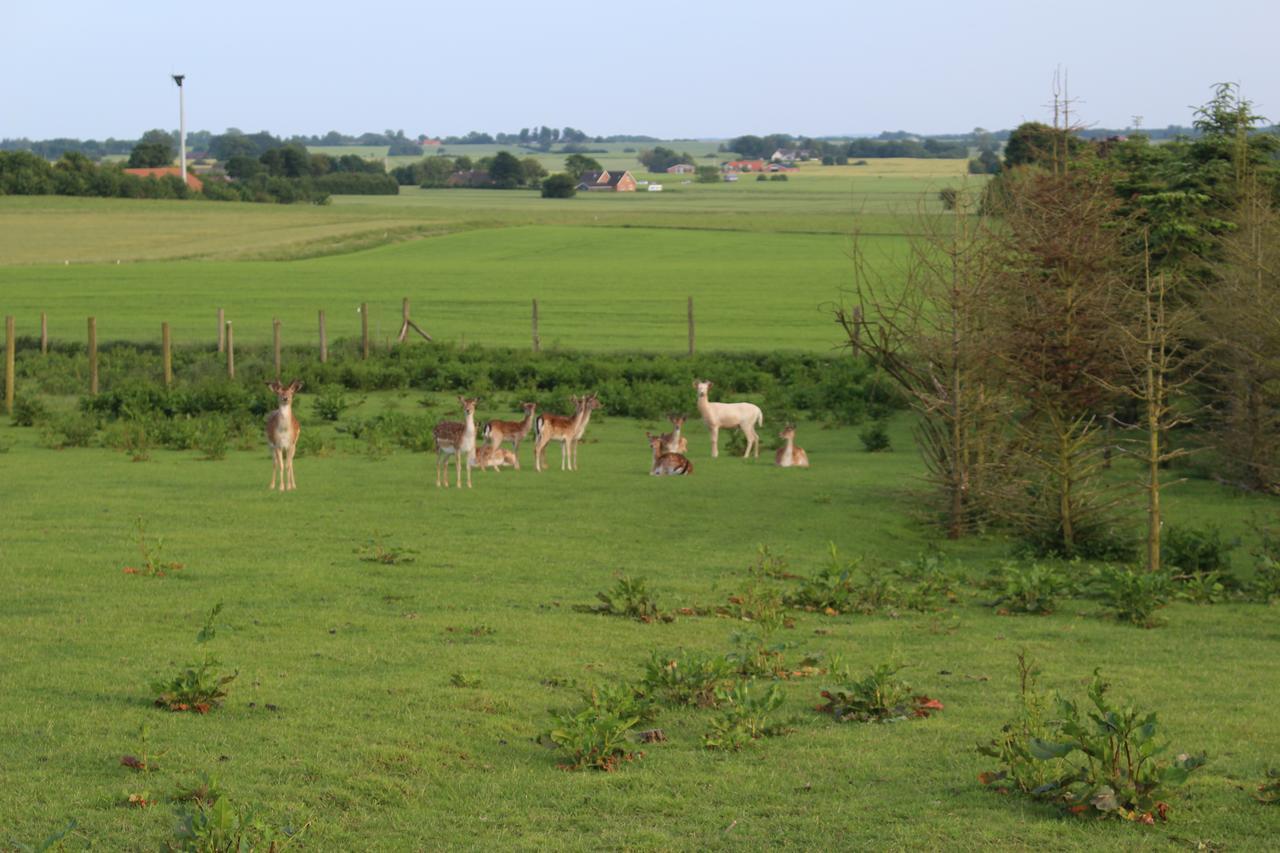 Nygaard Holiday Apartments Hornsyld Zewnętrze zdjęcie